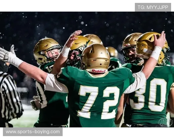 B sports在线登录入口最新官方入口地址及使用指南全面解析